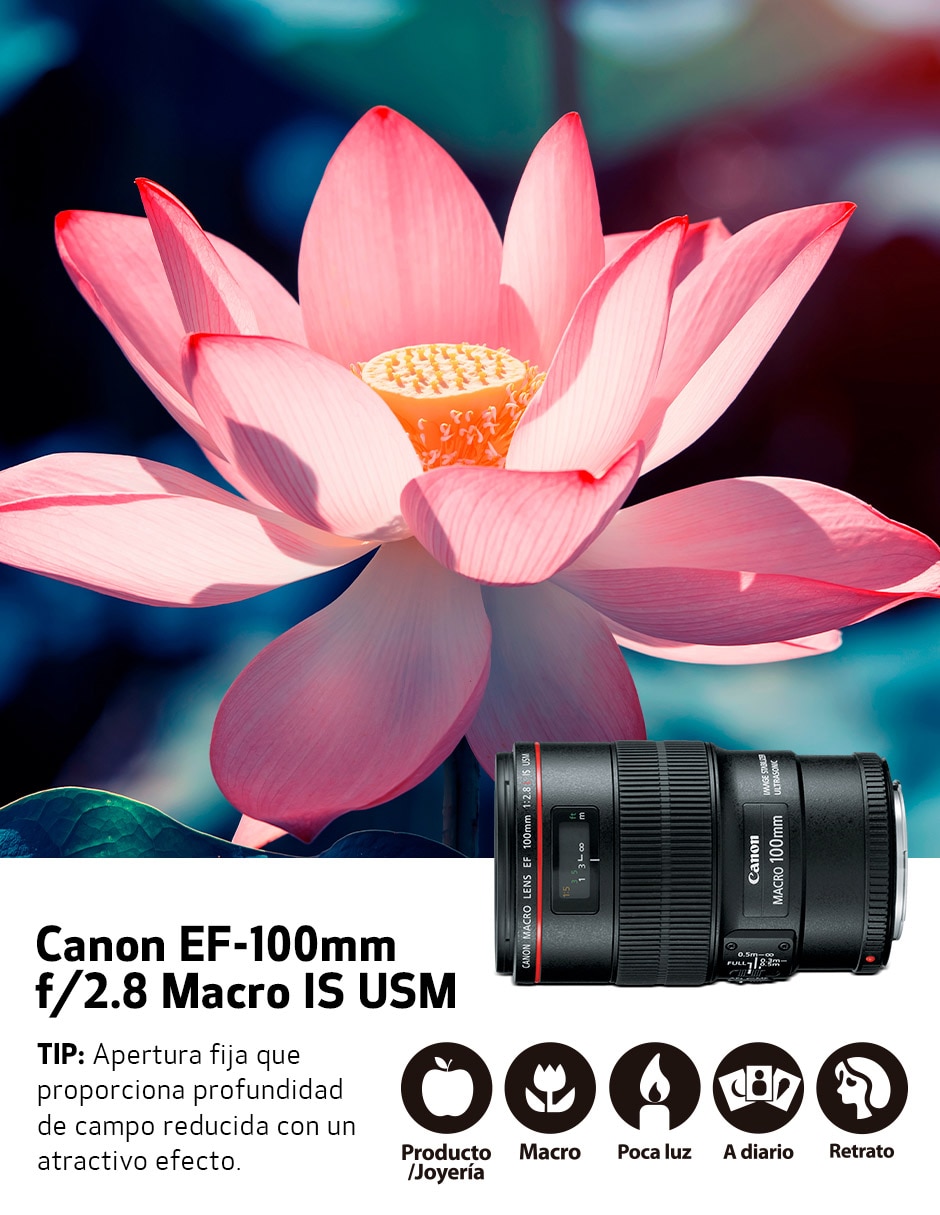 Lente Canon 100 mm f / 2.8 EF-Mount