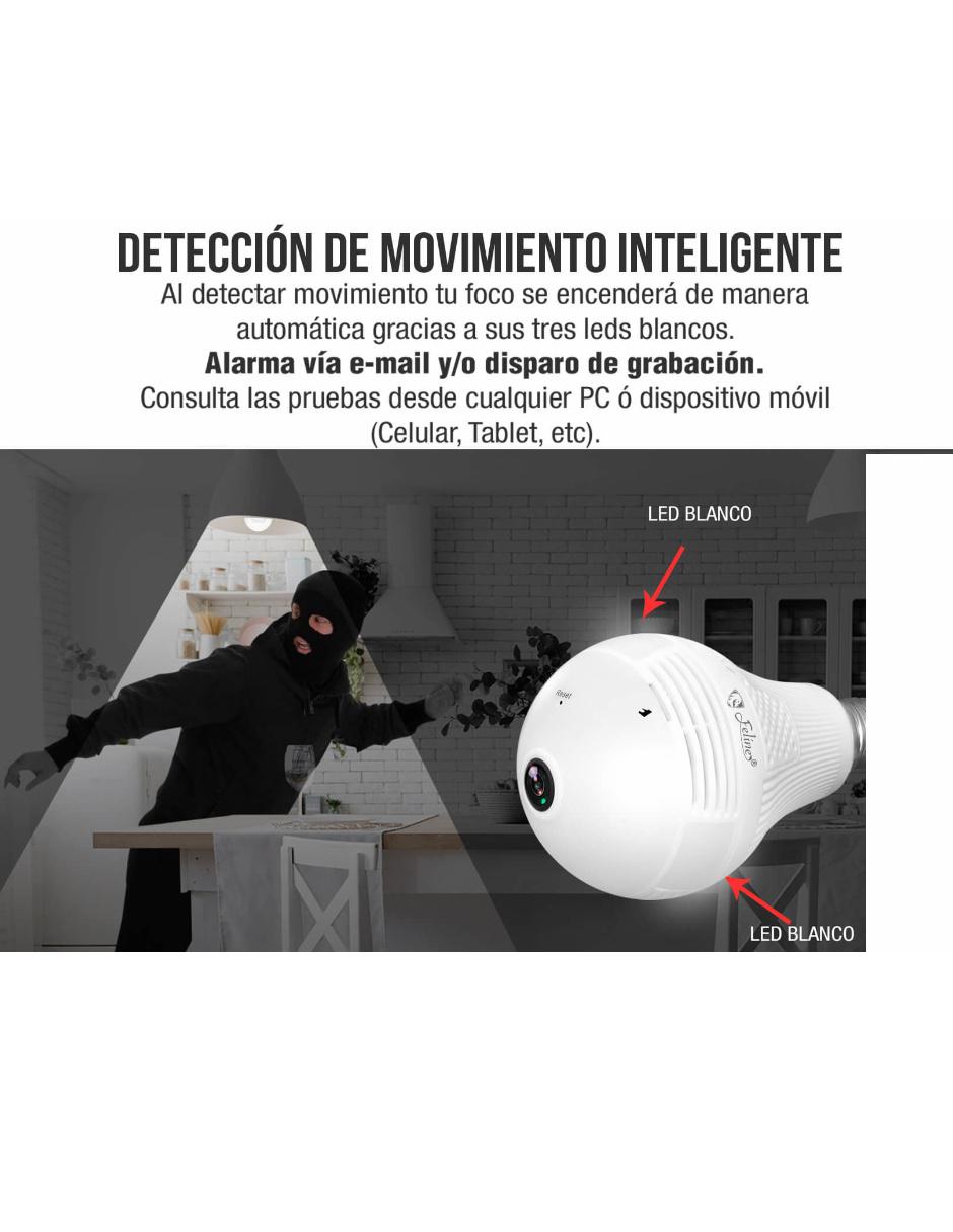 Cámara individual de seguridad Alámbrica para Interior Cámara individual de seguridad Alámbrica para Interior