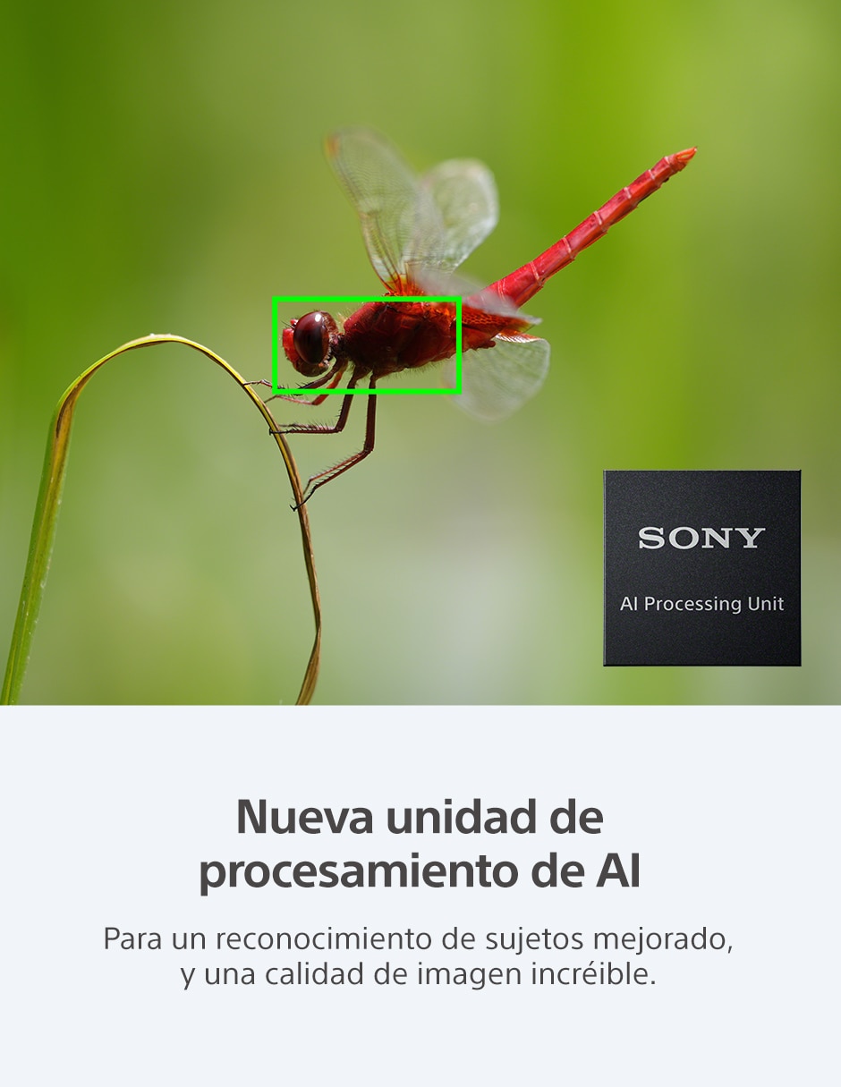 Cámara con lente 4