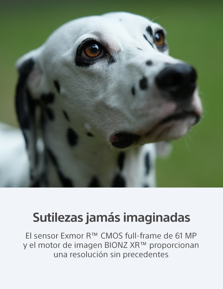 Cámara con lente 5