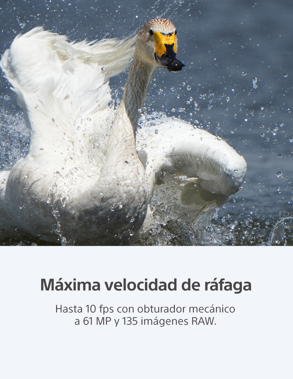Cámara con lente 6