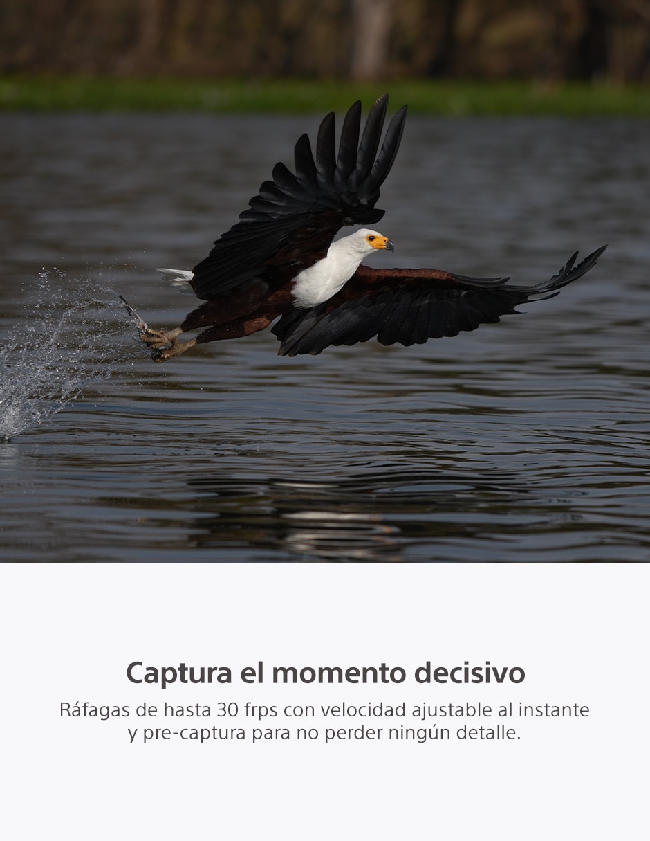 Camara sin espejo Alpha 7R VI con lente E-Mount 4