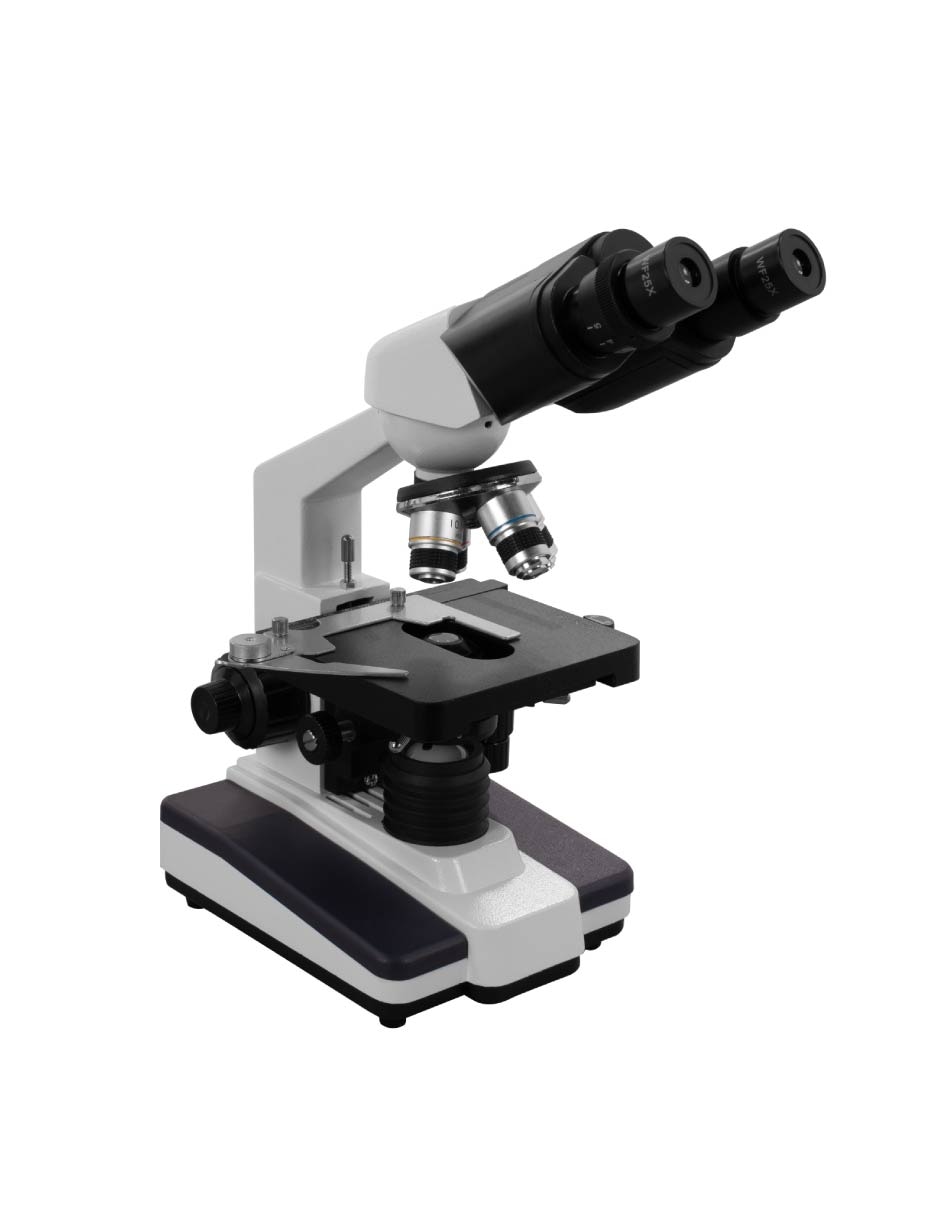 Microscopio