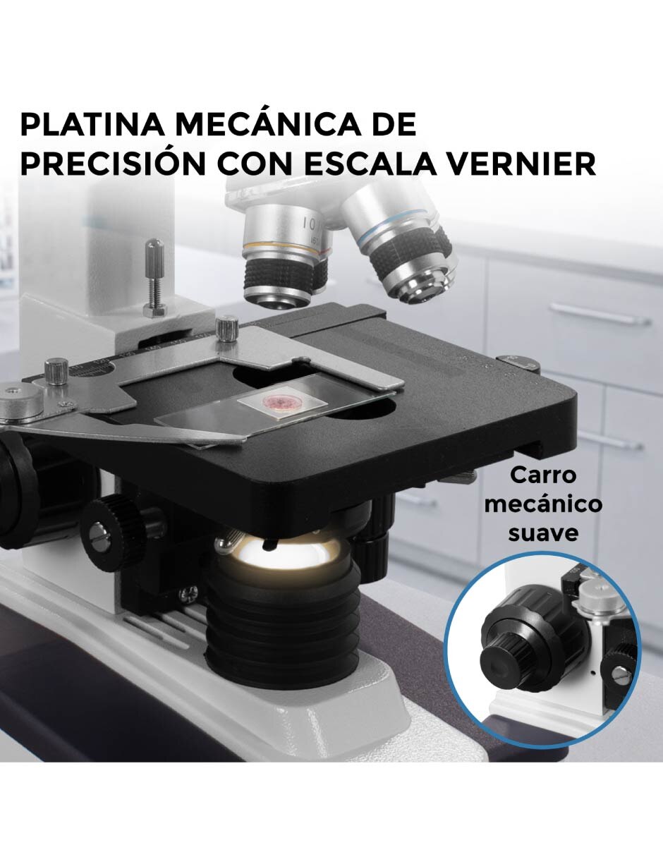 Microscopio 7