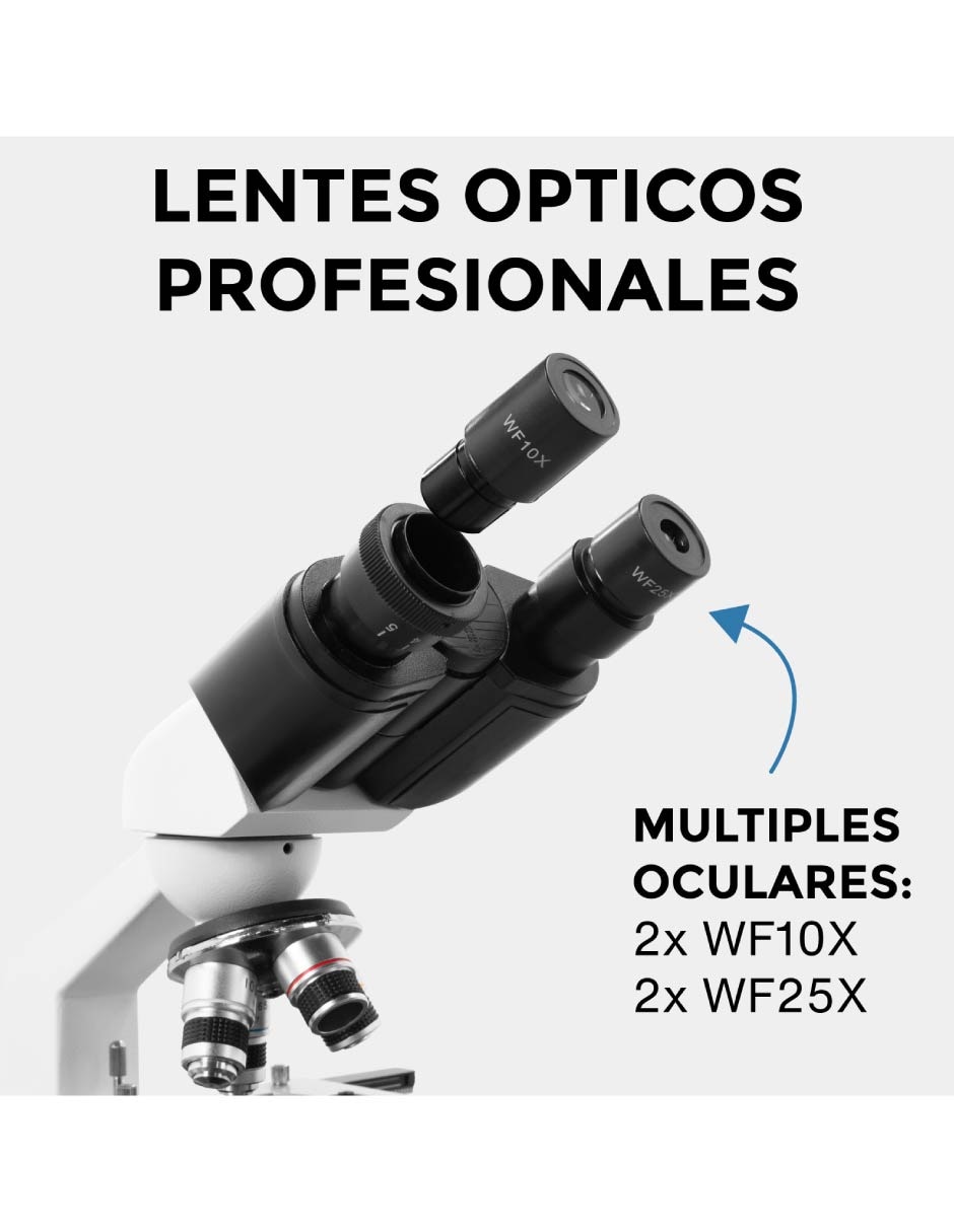 Microscopio 2