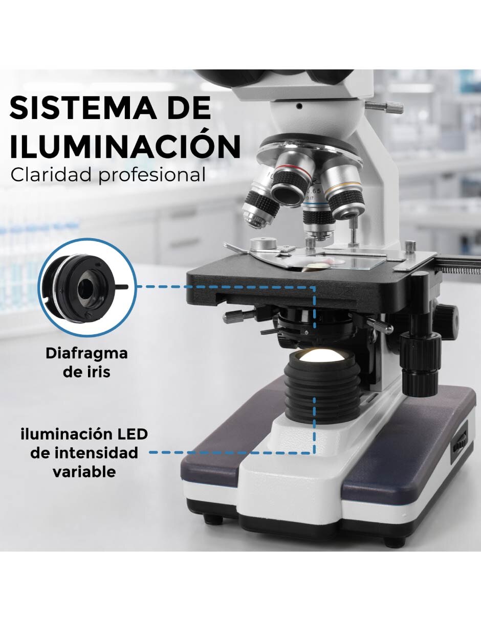 Microscopio 3